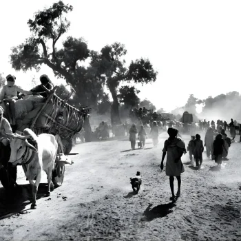 Untitled design (83)