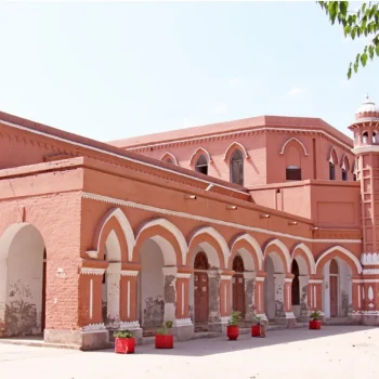 Untitled design (87)